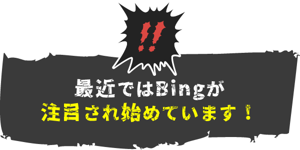 最近ではBingが注目され始めています！